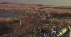 Deere at Ezell holding basin