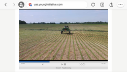 Sowell - Topdressing