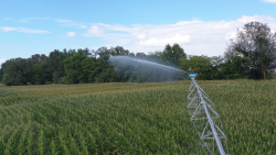 Gee Irrigator